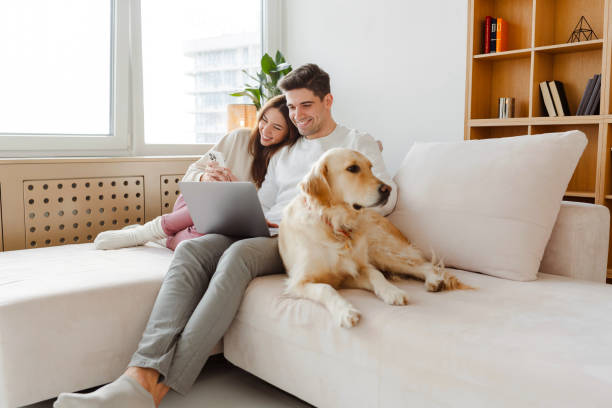 Improve Dating Profile Best Strategies